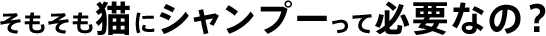 そもそも猫にシャンプーって必要なの？！