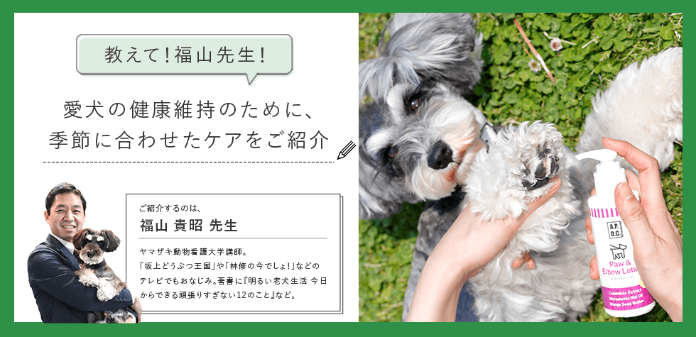 教えて！福山先生！愛犬の健康維持のために、季節に合わせたケアをご紹介
