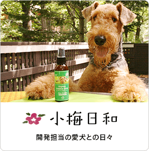 小梅日和　開発担当の愛犬との日々